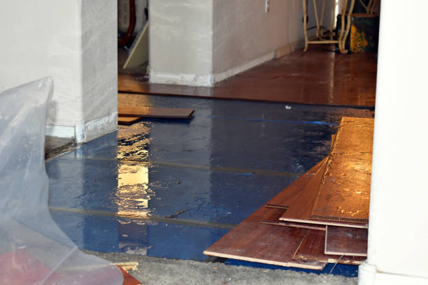 Professional Water Extraction technician working in Lore City, OH